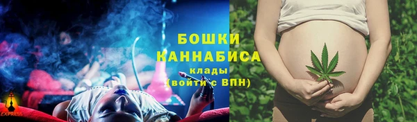 эйфоретик Инсар